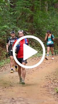 BIB:  <button type="button" onclick="openModal(26817115)" class="btn btn-primary btn-sm float-right" data-toggle="modal" data-target=".modal-high-quality">
                <i class="fa fa-download"></i> Download
                </button>